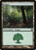 Forest (PS11) (#223)