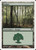 Forest (PSAL) (#D23)