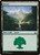 Forest (RIX) (Foil) (#196)