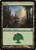 Forest (RTR) (Foil) (#272)