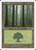 Forest (S99) (#173)