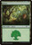 Forest (SLD) (Foil) (#576)