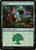 Forest (SLD) (Foil) (#578)