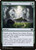 Field Trip (STX) (Foil) (#131)