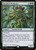Gnarled Professor (STX) (Foil) (#133)