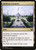Archway Commons (STX) (Foil) (#263)