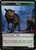 Wolf (TELD) (#14)