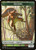 Squirrel (TMH2) (Foil) (#11)