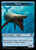Whale (TMH3) (Foil) (#14)