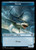 Shark (TOTC) (#6)
