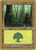 Forest (WC01) (#jt329)