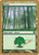 Forest (WC04) (#jn350)