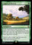 Carpet of Flowers (WHO) (Foil) (#229)