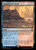 Stormcarved Coast (WHO) (Foil) (#308)