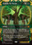 Awaken the Woods (SOA) (Borderless) (#49)