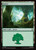 Forest (MSH) (#296)