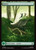 Forest (MSH) (SurgeFoil) (Full Art) (#441)