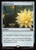 Gilded Lotus (MSC) (#199)