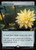 Gilded Lotus (MSC) (Extended Art) (#434)
