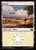 Plains (MSC) (#869)
