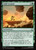Solid Ground (TLE) (#142)