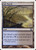 Salt Marsh (8ED) (#325)
