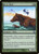 River Bear (9ED) (Foil) (#266★)