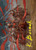 Alesha, Who Laughs at Fate // Alesha, Who Laughs at Fate (AFDN) (Foil) (Borderless) (#14)