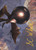 Malicious Eclipse // Malicious Eclipse (ALCI) (Borderless) (#17)