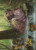 Basking Capybara // Basking Capybara (ALCI) (Borderless) (#22)