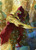 Baral, Chief of Compliance // Baral, Chief of Compliance (AMOM) (Foil) (Borderless) (#68)