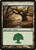Forest (AVR) (Foil) (#244)
