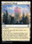 Lupinflower Village (BLB) (Foil) (#256)