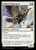 Pileated Provisioner (BLB) (#25)