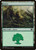 Forest (C14) (#334)