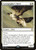 Cartographer's Hawk (C20) (#24)