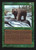 Grizzly Bears (CED) (#200)
