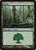Forest (CHK) (Foil) (#303)