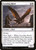 Scouting Hawk (CLB) (Foil) (#41)