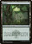 Forest (CLB) (Foil) (#467)