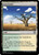 Grasslands (CMM) (#1002)
