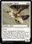 Cartographer's Hawk (CMM) (Foil) (#18)