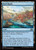 Reef Roads (DFT) (Foil) (#259)