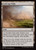 Evolving Wilds (DRC) (#153)