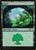 Forest (G17) (Foil) (#5)