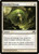 Shielded Passage (GTC) (#24)