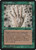 Touch of Vitae (ICE) (#271)