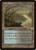 Salt Marsh (INV) (#326)