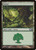 Forest (M10) (Foil) (#249)