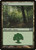 Forest (M14) (Foil) (#247)